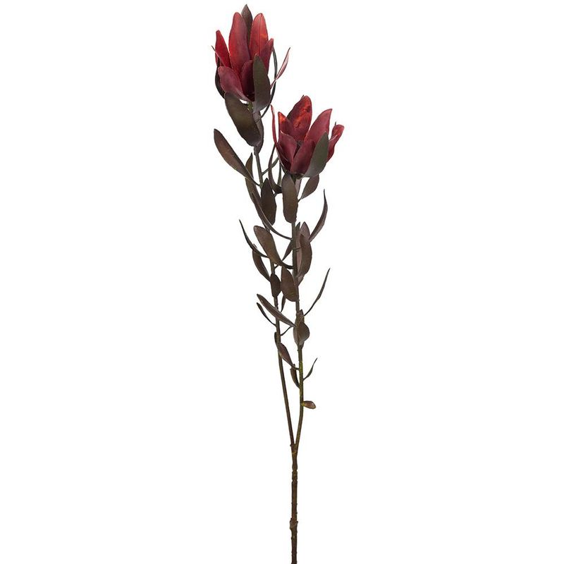 Mr.Plant Safari 90cm