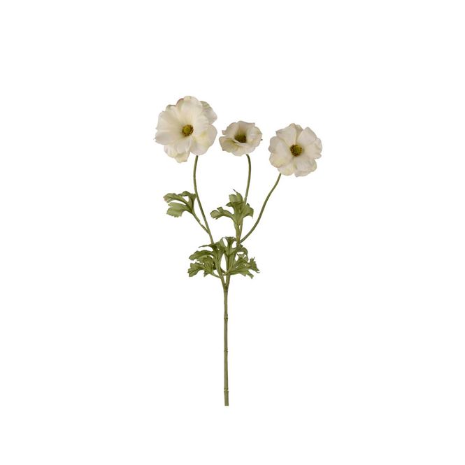 Hovedbilde Mr. Plant blomst hvit