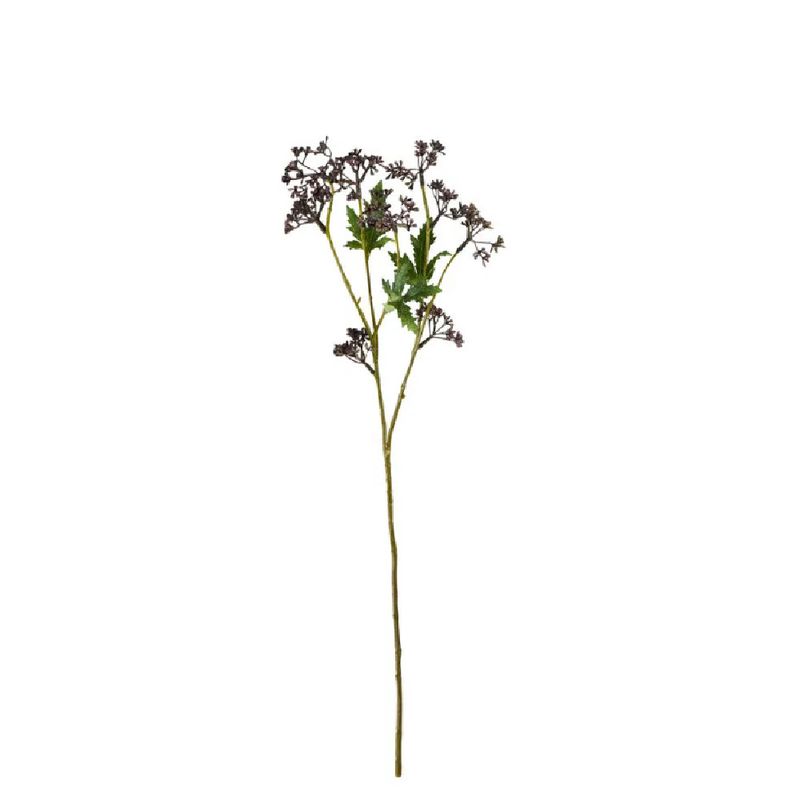 Meadow burgundy