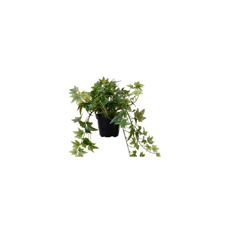Mr.plant Eføy